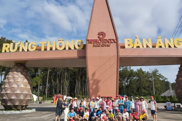 RỪNG THÔNG BẢN ÁNG – HÀNH TRÌNH HÒA MÌNH VÀO THIÊN NHIÊN MỘC CHÂU